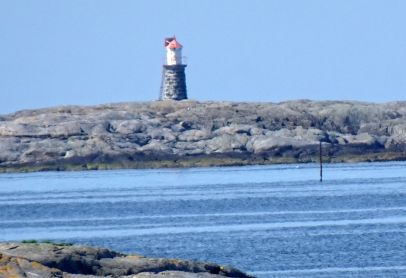 Sjørgjeslingan, Tronflesa W Islet  ( Mai, 2026 )
